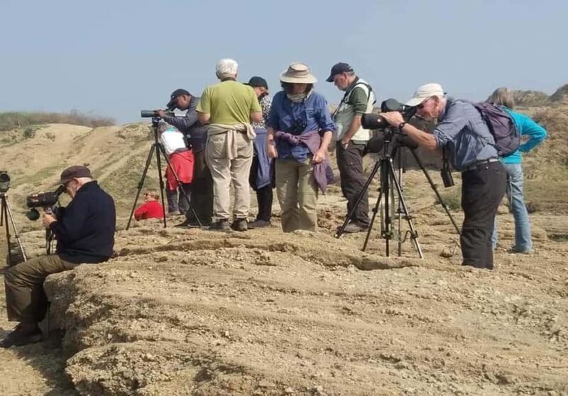 From Delhi: Chambal River Safari with Jeep and Boat Ride - The Details of the Chambal River Safari: What Youll Experience