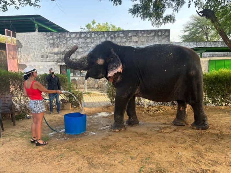 From Delhi: Jaipur Guided City Tour with Lunch - Final Thoughts