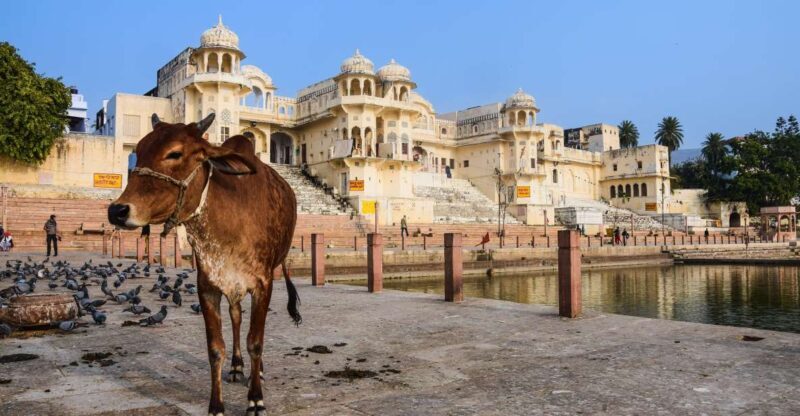 From Delhi: Jaipur Private Day Trip with Guide - Key Points