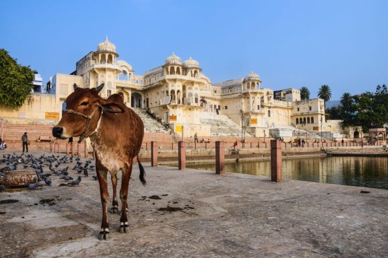 From Delhi: Jaipur Private Day Trip with Guide - Exploring the Itinerary: What to Expect on This Jaipur Day Trip