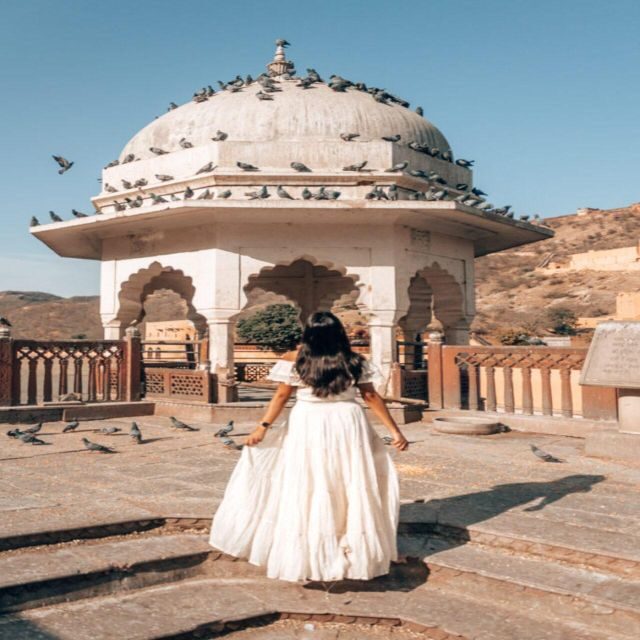 From Delhi: Jaipur Private Tour by Car with Agra Drop Option - Who Should Consider This Tour?