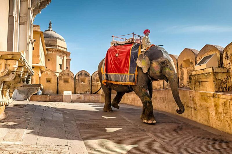 From Delhi: Jaipur Same Day Tour By Car - Who Should Take This Tour?