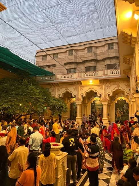 From Delhi/Jaipur: Taj Mahal & Elephant SOS Tour with Lunch - Key Points