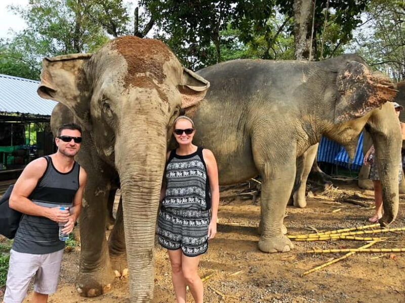 From Delhi: Jaipur Tour with Guide, Transport & Elephants - A Detailed Look at the Jaipur Day Trip from Delhi