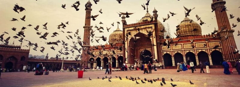 From Delhi: Old & New Delhi Private Sightseeing Tour - Who Is This Tour Best For?