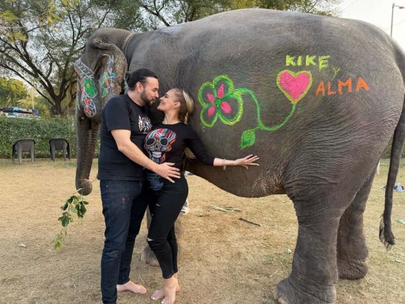 From Delhi: Private 5 Days Golden Triangle Guided Tour - Why This Tour Works Well