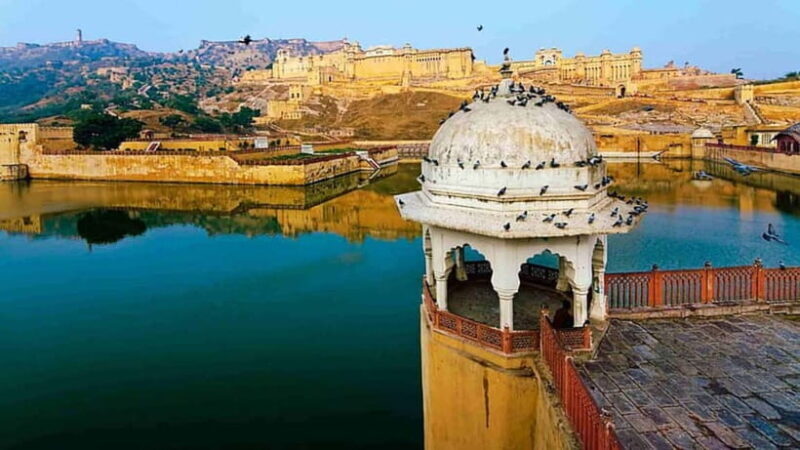From Delhi: Private Jaipur & Amber Fort Guided Tour by Car - What the Reviews Say