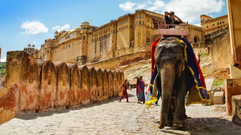 From Delhi: Private Jaipur City Tour with Monkey Temple - Final Verdict: Is It Worth It?