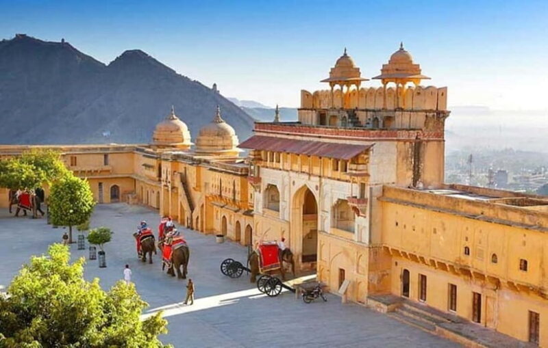 From Delhi: Private Jaipur Day Trip with Driver & Guide - A Detailed Look at the Jaipur Day Trip