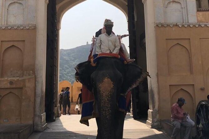 From Delhi: Private Jaipur Tour by Car - All Inclusive - Key Points