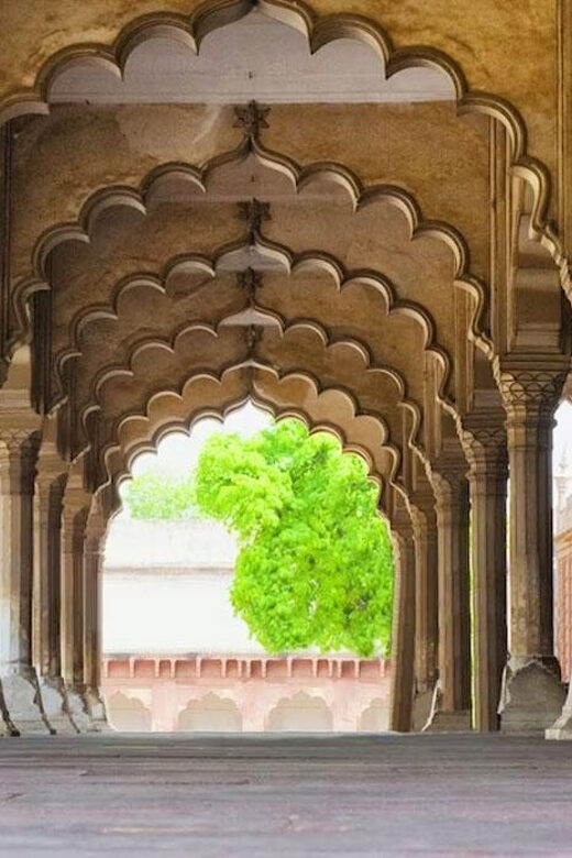 From Delhi: Private Taj Mahal & Agra Tour with 5* Lunch - What’s Included and What’s Not