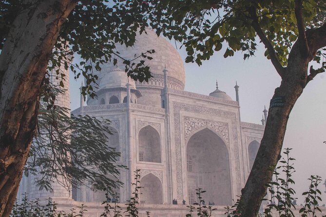 From Delhi: Same Day Taj & Agra Fort with Sunrise Option - Who Should Consider This Tour?