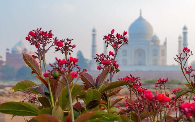From Delhi: Same Day Taj Mahal Tour by Gatimaan Train - FAQs