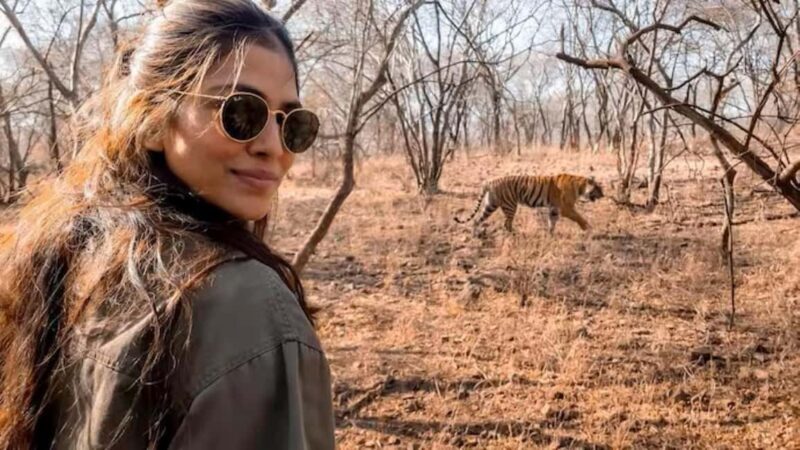 From Delhi: Sariska Wildlife Safari with Private Car - Key Points