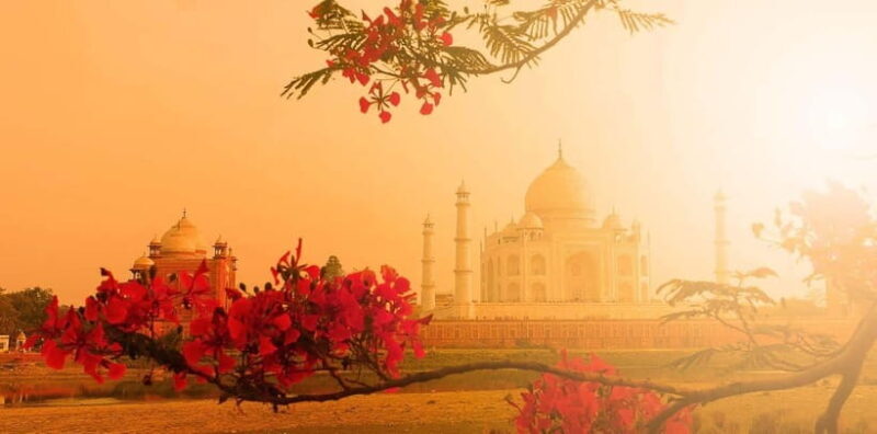 From Delhi: Sunrise Taj Mahal & Full Agra City Amazing Tour - Discovering the Taj Mahal at Dawn