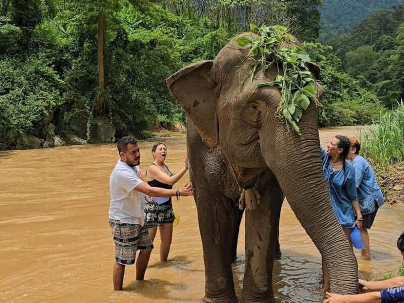 From Delhi: Sunrise Taj Mahal Tour With Elephant SOS - Exploring the Experience: A Closer Look at the Tour