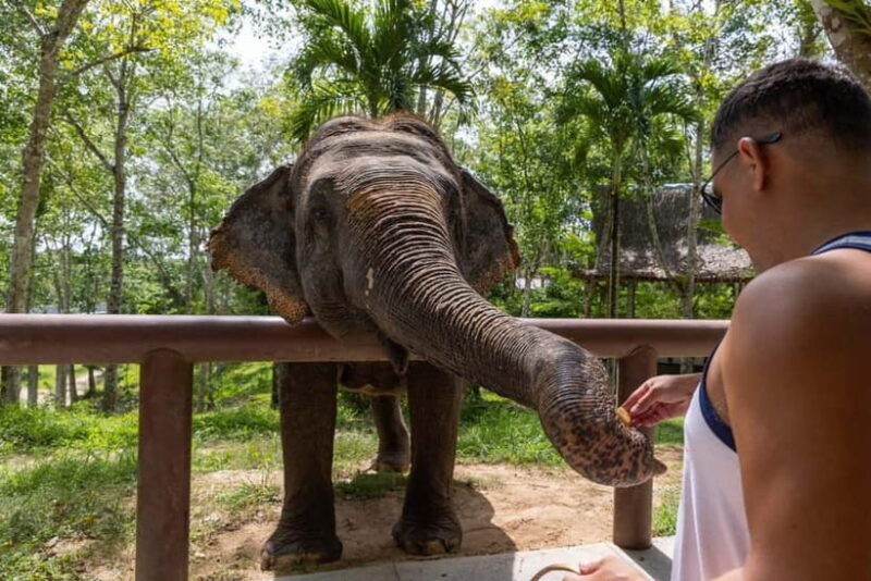 From Delhi: Taj Mahal, Agra Fort & Elephant Center Day Trip - Key Points