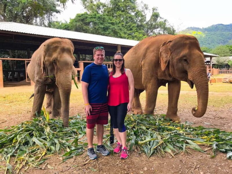 From Delhi: Taj Mahal, Agra Fort & Elephant Sanctuary Tour - From Delhi: Taj Mahal, Agra Fort & Elephant Sanctuary Tour