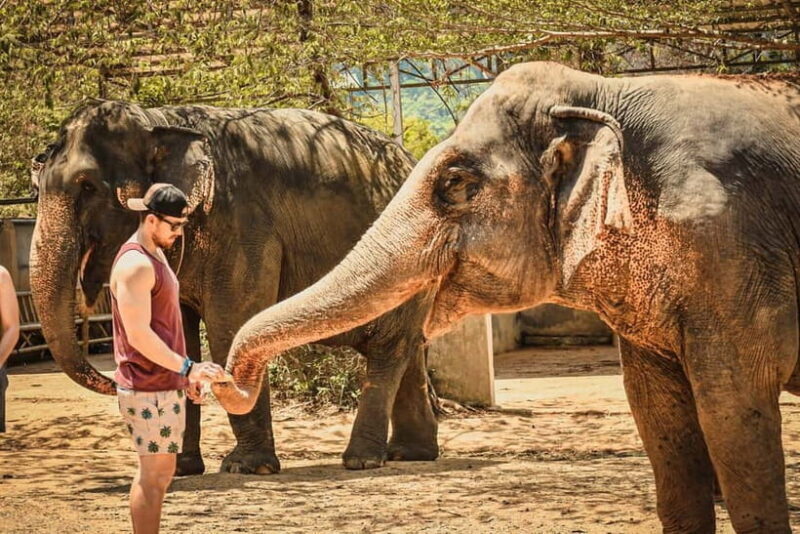 From Delhi: Taj Mahal, Agra Fort & Elephant Sanctuary Tour - Key Points