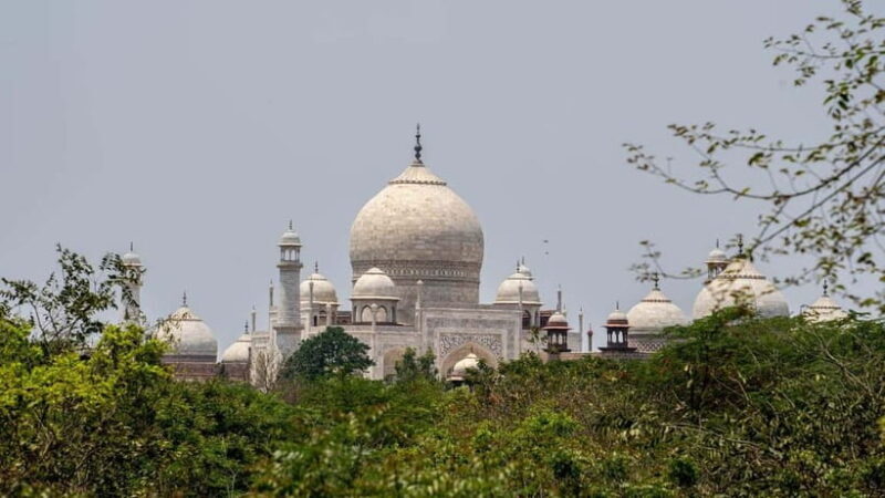 From Delhi: Taj Mahal, Agra Fort & Fatehpur Sikri in One Day - Who Is This Tour Best For?