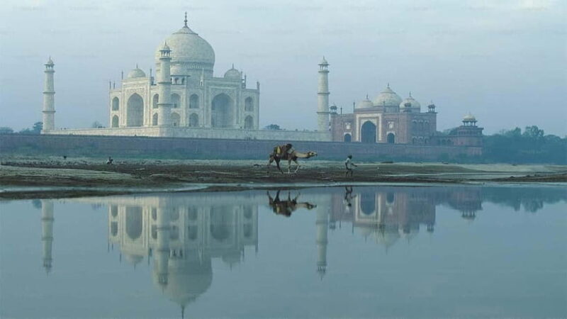 From Delhi: Taj Mahal & Agra Private Day Trip With 5* Lunch - Final Thoughts