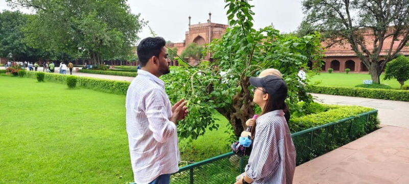 From Delhi: Taj Mahal & Agra Tour by Gatimaan Express Train - The Journey Begins: From Delhi’s Doorstep to Agra’s Heart