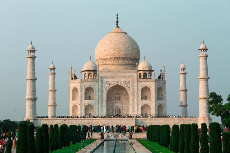 From Delhi: Taj Mahal & Agra Tour & Elephant SOS & 5*Lunch - A Closer Look at the Experience
