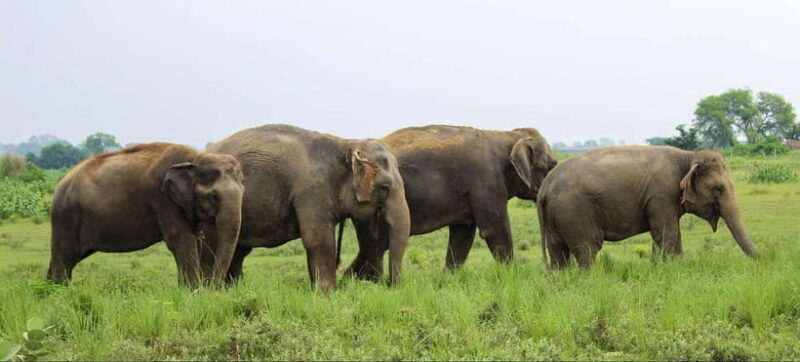 From Delhi: Taj Mahal and Agra Tour by Super-fast Train - Practical Details & What to Expect