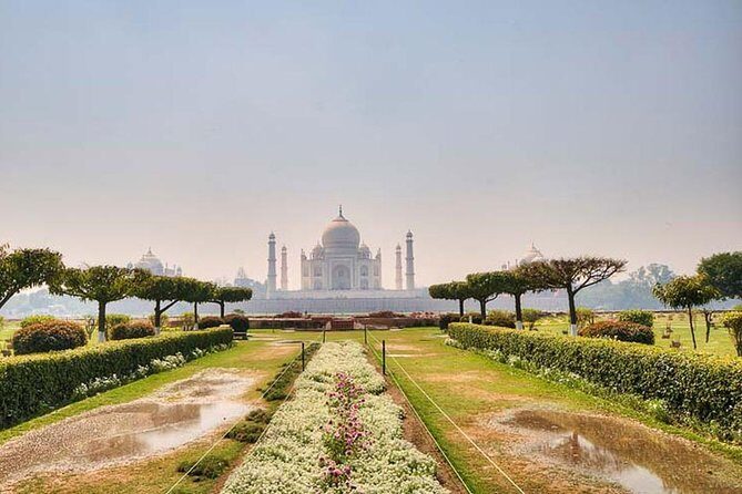 From Delhi :Taj Mahal And Agra Tour with Elephant wildlife sos - Practical Tips and Considerations