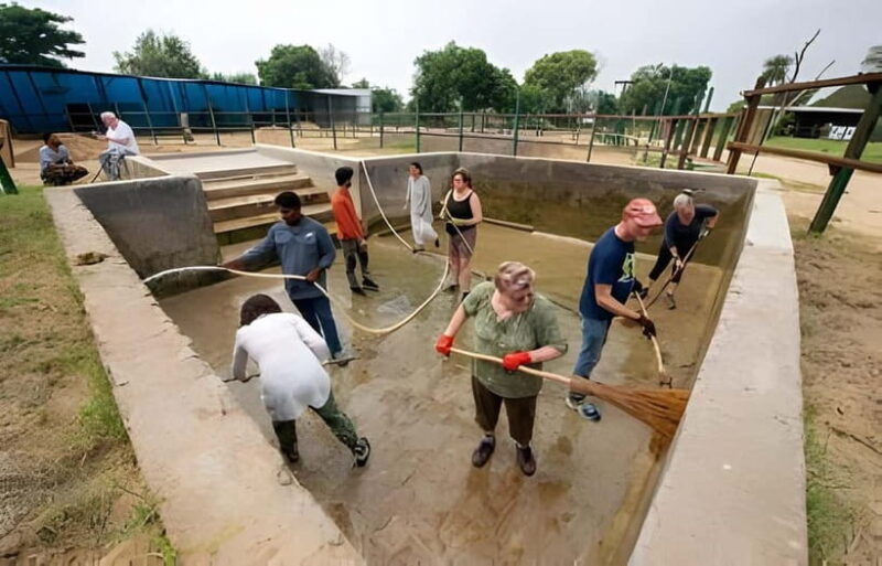 From Delhi: Taj Mahal, Elephant & Bear Wildlife Tour By Car - Who Would Enjoy This Tour?