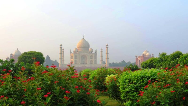 From Delhi: Taj Mahal Sunrise & Agra Day Tour with Transfers - In-Depth Review of the Tour Experience
