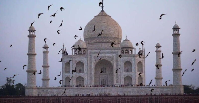 From Delhi: Taj Mahal Sunrise & Agra Day Tour with Transfers - A detailed look at the Delhi to Agra Day Trip