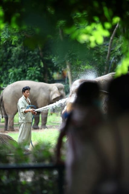 From Delhi: Taj Mahal Sunrise, Agra Fort & Elephant Tour - FAQ