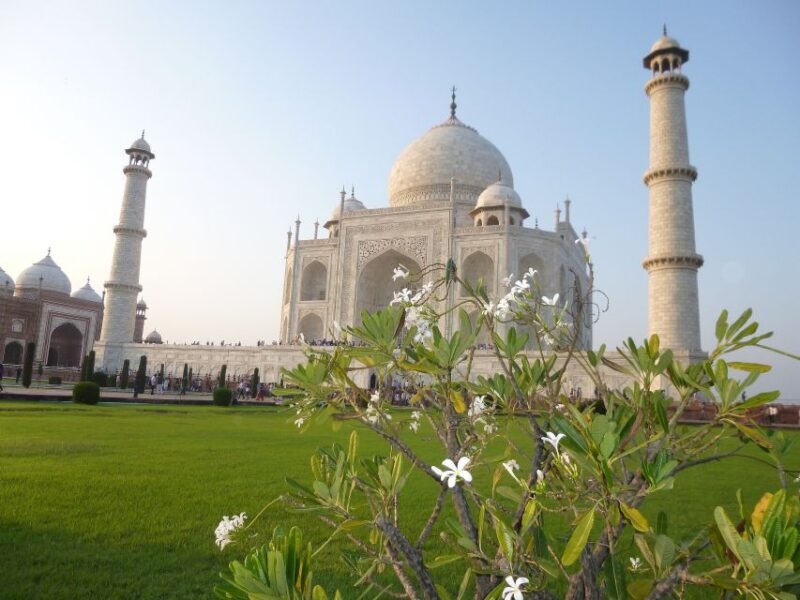 From Delhi: Taj Mahal Sunrise, Baby Taj & Agra Fort Day Tour - The Value of This Tour