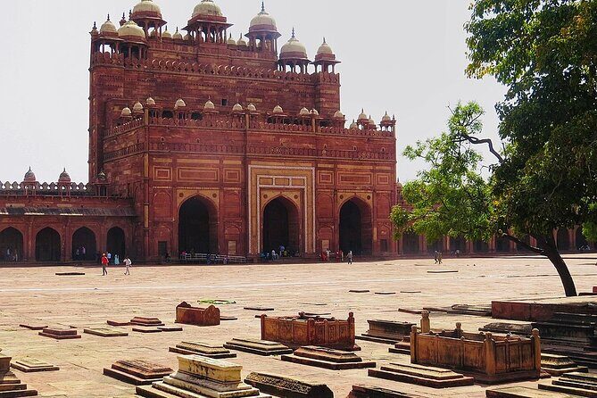 From Delhi: Taj Mahal Sunrise Tour with Elephant SOS Centre - The Sum Up