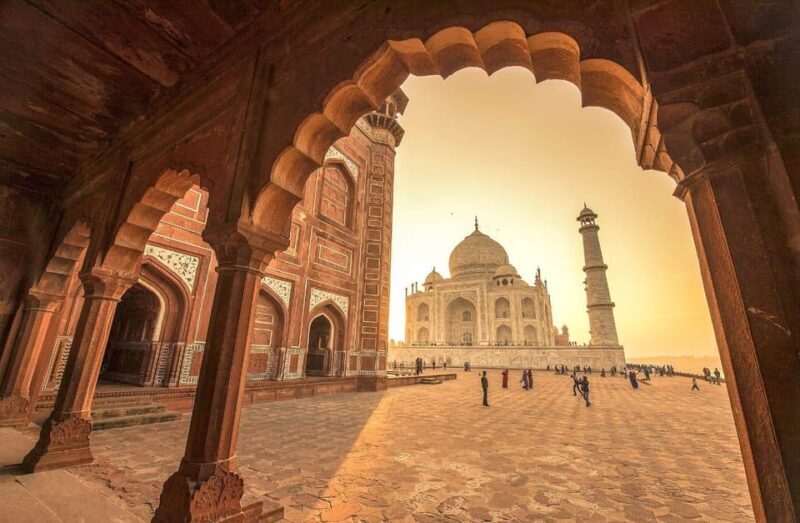 From Delhi: Taj Mahal Sunrise Tour with Elephant SOS Centres - Who Is This Tour Best For?