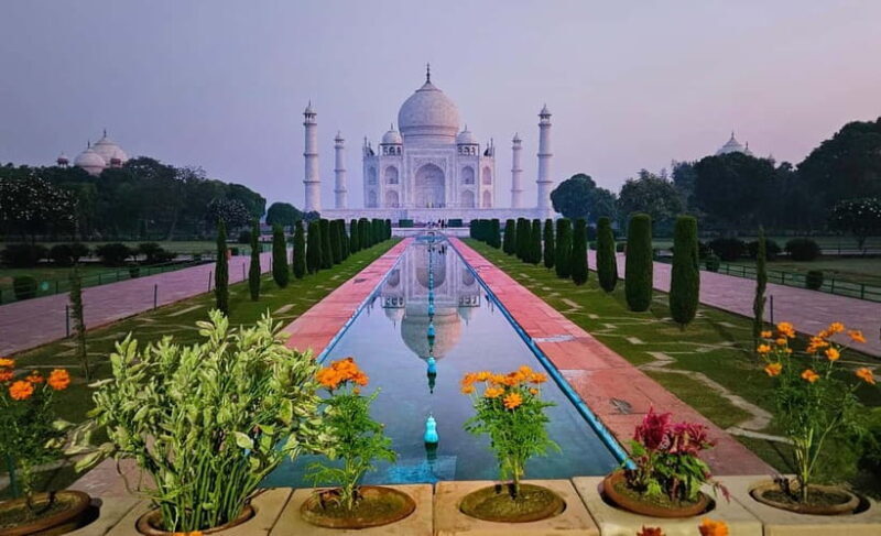 From Delhi: Taj Mahal Tour With Elephant SOS - Key Points