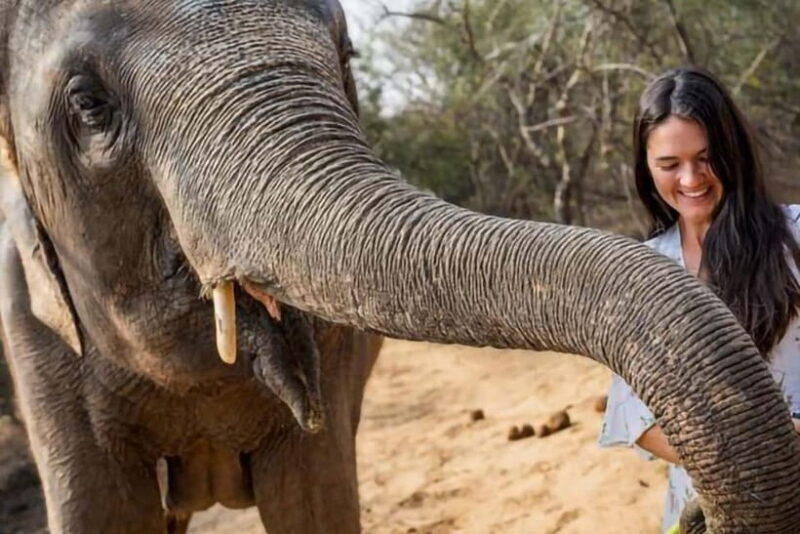 From Delhi: Taj Mahal Tour With Elephant SOS - Exploring the Taj Mahal at Dawn