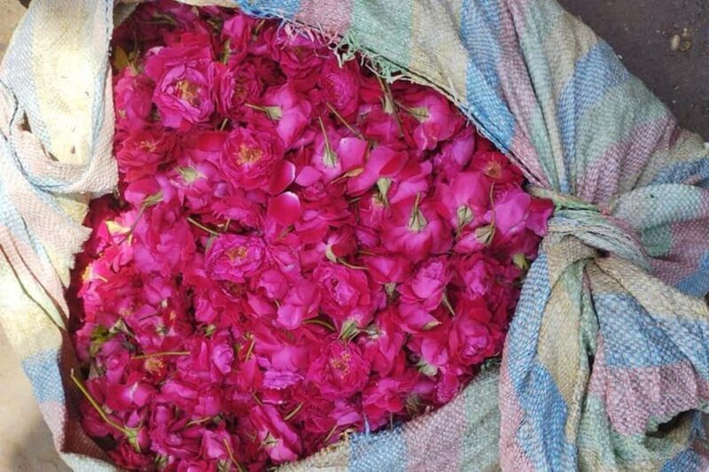 From Delhi to Varanasi Tour (2 Days) - Exploring the Spiritual Essence of Varanasi in 2 Days