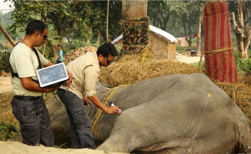 From Delhi: Trip to Taj Mahal, Wildlife SOS and Agra Fort - Key Points