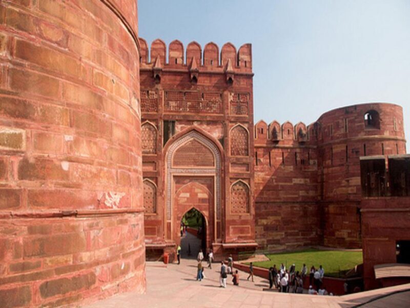 From Delhi: Trip to Taj Mahal, Wildlife SOS and Agra Fort - A Closer Look at the Tour Experience