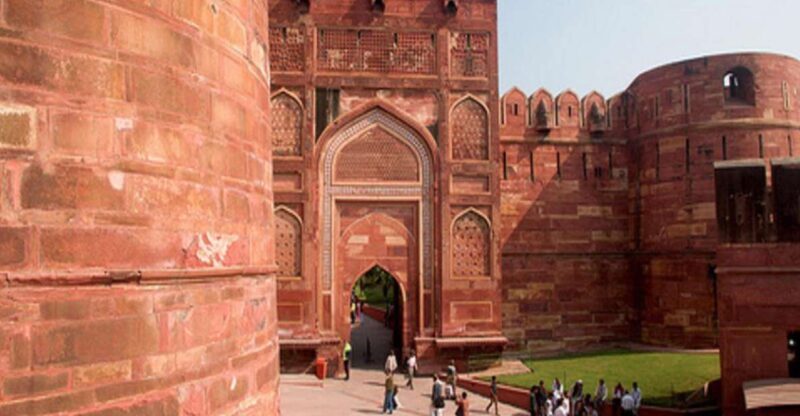 From Delhi: Trip to Taj Mahal, Wildlife SOS and Agra Fort - Who Would Enjoy This Tour?