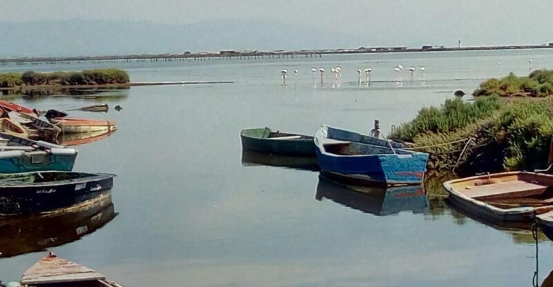 From Deltebre: Ebro Delta National Park Multi-Stop Day Trip - What to Expect from the Tour