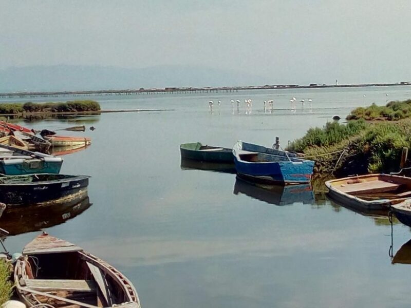 From Deltebre: Ebro Delta National Park Multi-Stop Day Trip - Exploring Fangar Bay and the Wetlands