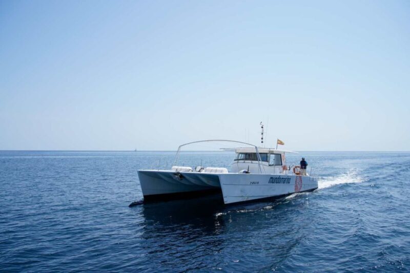 From Denia: Boat Trip to Tallada Cave with Optional Swim - Authentic Perspectives from Travelers