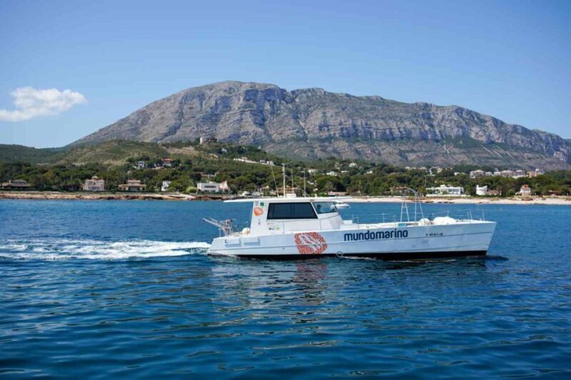From Denia: Boat Trip to Tallada Cave with Optional Swim - FAQ