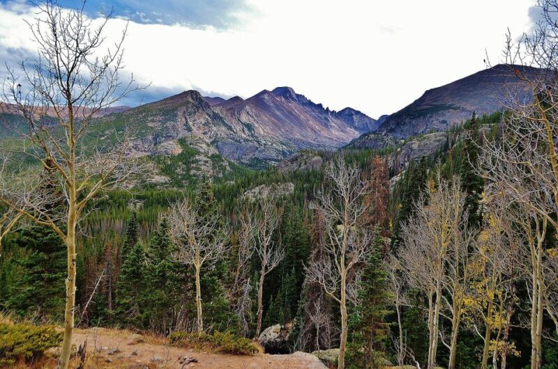 From Denver: Guided Hike in Rocky Mountain National Park - Exploring the Tour in Detail
