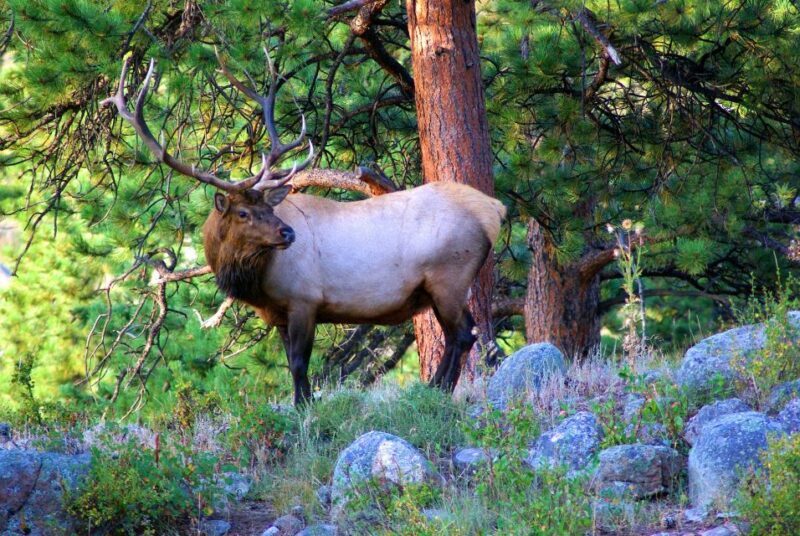 From Denver: Hike the Rockies Tour - Final Thoughts