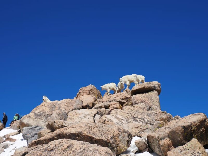 From Denver: Trip to Mount Blue Sky Summit and Glacial Lake - From Denver: Trip to Mount Blue Sky Summit and Glacial Lake – A Complete Guide