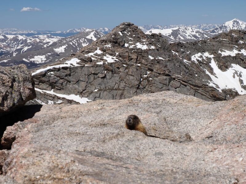 From Denver: Trip to Mount Blue Sky Summit and Glacial Lake - Who Should Consider This Tour?